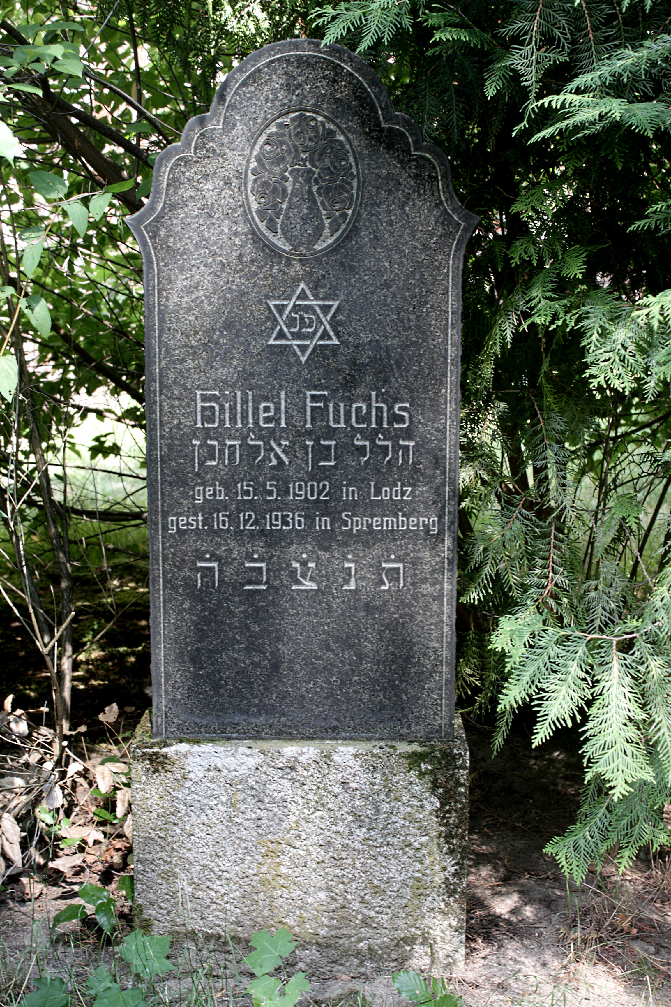 Grabstein Nummer 64 auf dem Friedhof Cottbus 1