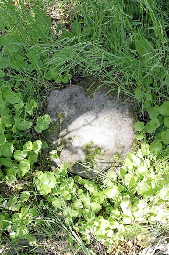 Grabstein Nummer 13 auf dem Friedhof Dębno (Neudamm)