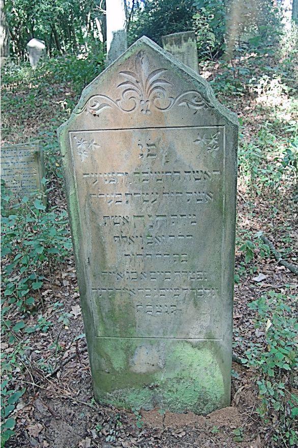 Grabstein Nummer 24 auf dem Friedhof Trzciel (Tirschtiegel)