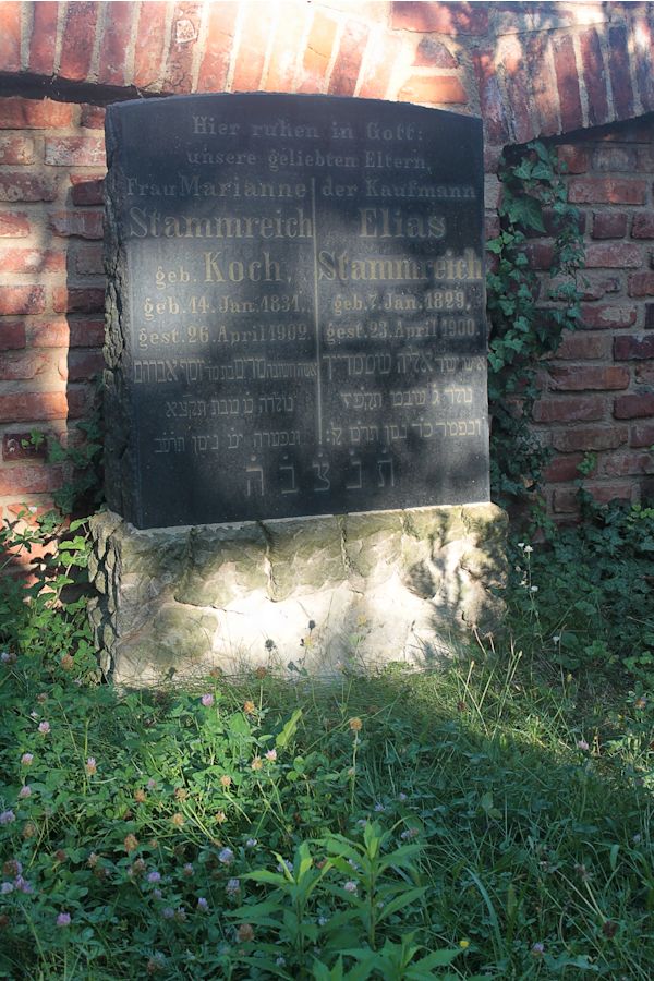 Grabstein Nummer 59 auf dem Friedhof Guben
