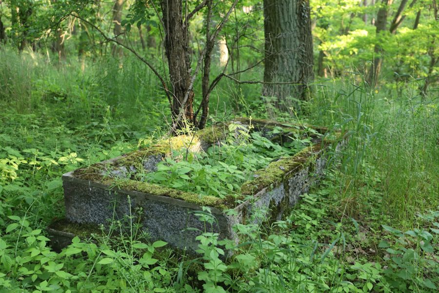 Grabstein Nummer 4 auf dem Friedhof Lipiany (Lippehne)