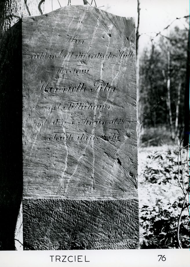 Grabstein Nummer 3 auf dem Friedhof Trzciel (Tirschtiegel)
