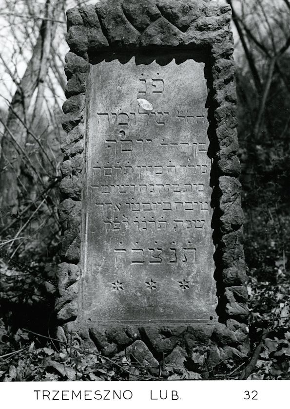 Grabstein Nummer 88 auf dem Friedhof Trzemeszno Lubuskie (Schermeisel)