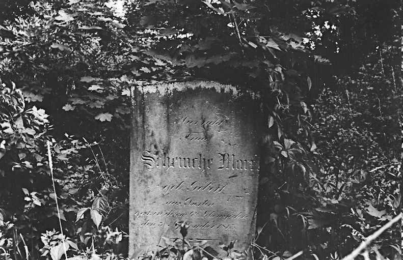 Grabstein Nummer 4 auf dem Friedhof Chojna (Königsberg)