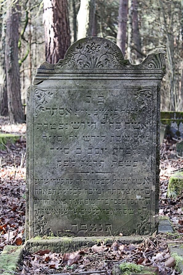 Grabstein Nummer 36 auf dem Friedhof Bledzew (Blesen)