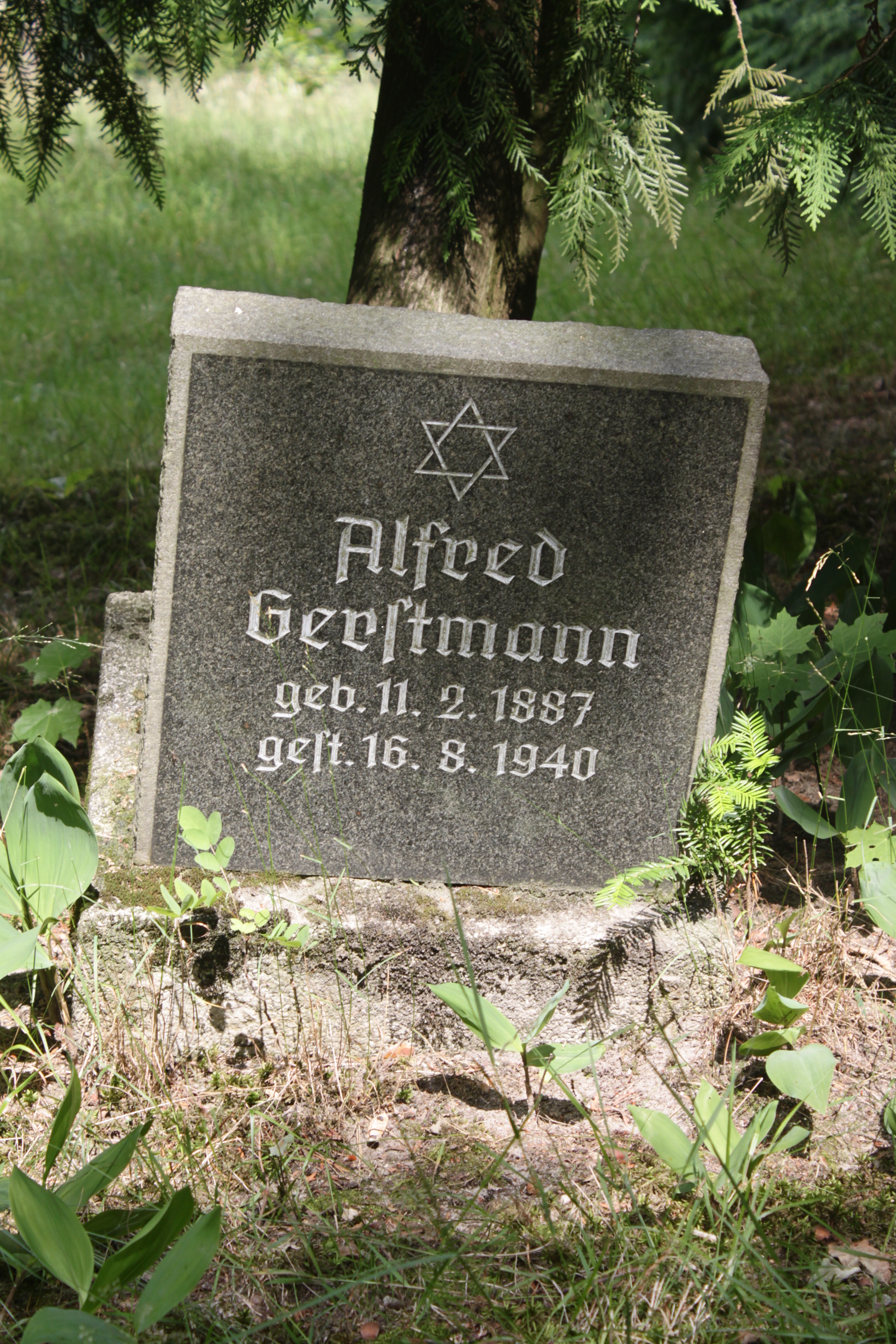 Grabstein Nummer 68 auf dem Friedhof Cottbus 1