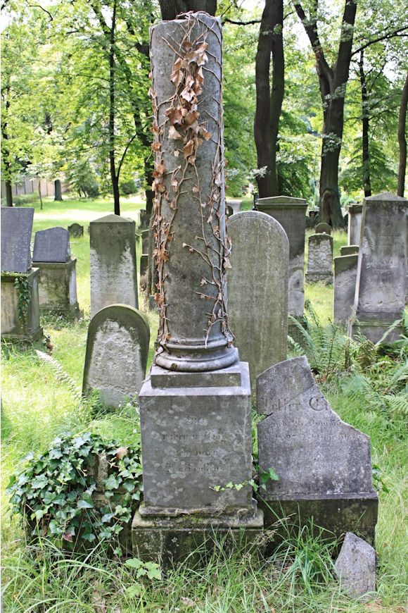 Grabstein Nummer 264 auf dem Friedhof Potsdam