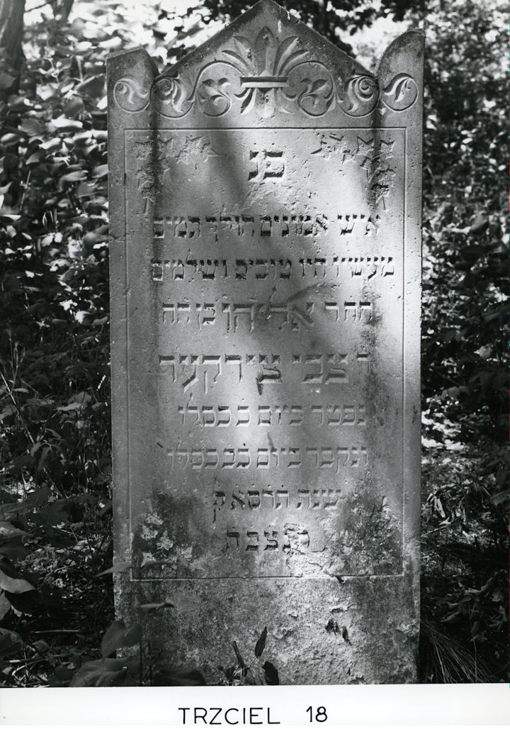 Grabstein Nummer 95 auf dem Friedhof Trzciel (Tirschtiegel)