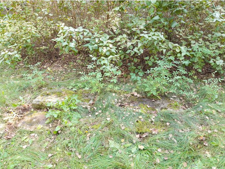 Grabstein Nummer 38 auf dem Friedhof Beeskow