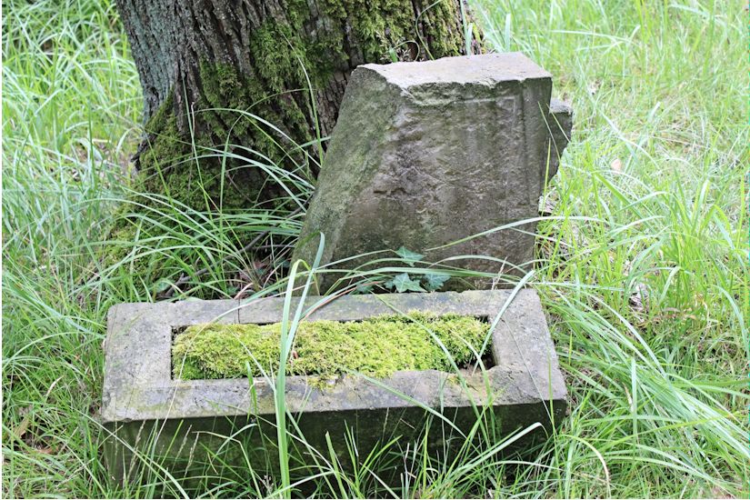 Grabstein Nummer 3381 auf dem Friedhof Potsdam