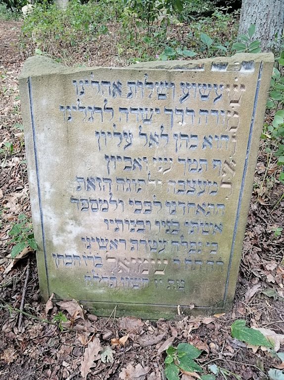 Grabstein Nummer 35 auf dem Friedhof Trzciel (Tirschtiegel)