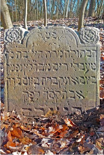 Grabstein Nummer 716 auf dem Friedhof Frankfurt/Oder
