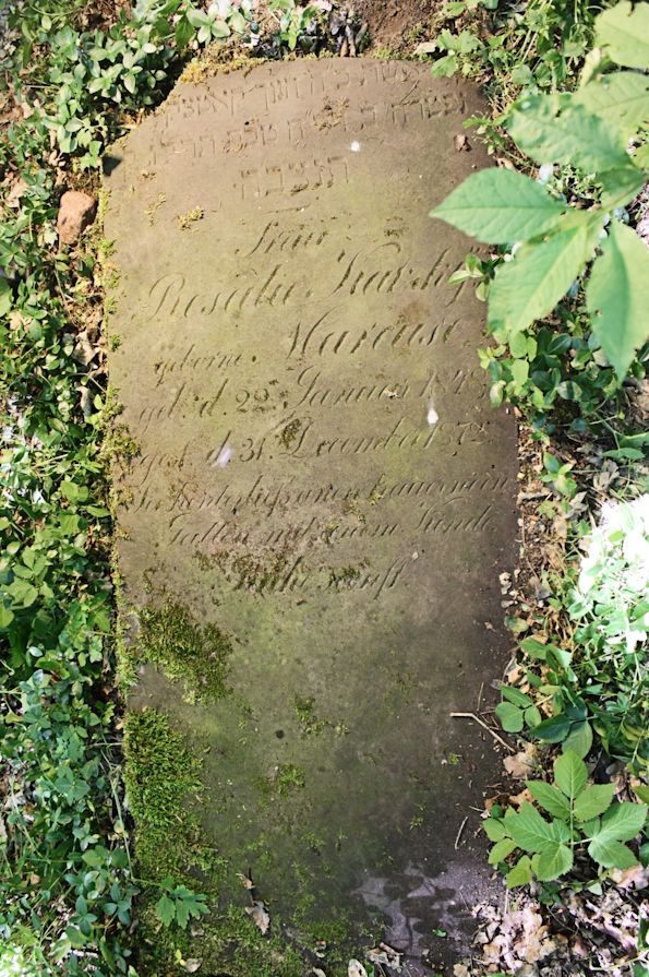 Grabstein Nummer 13 auf dem Friedhof Torzym (Sternberg)