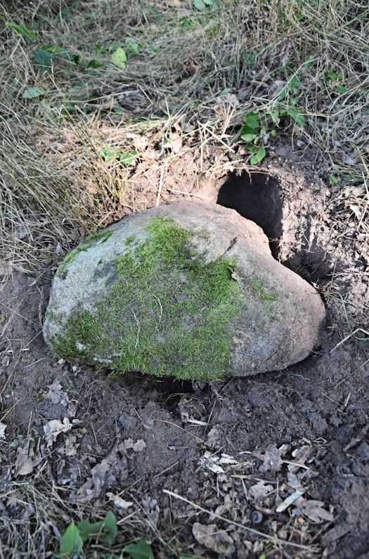Grabstein Nummer 36 auf dem Friedhof Trzemeszno Lubuskie (Schermeisel)