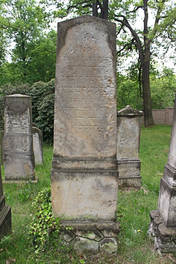 Grabstein Nummer 247 auf dem Friedhof Potsdam