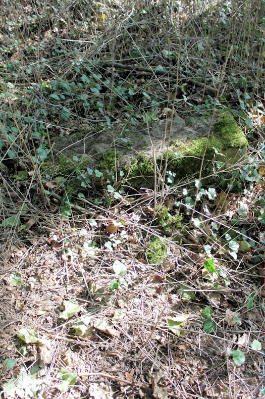 Grabstein Nummer 2 auf dem Friedhof Świętojańsko (St. Johannes)