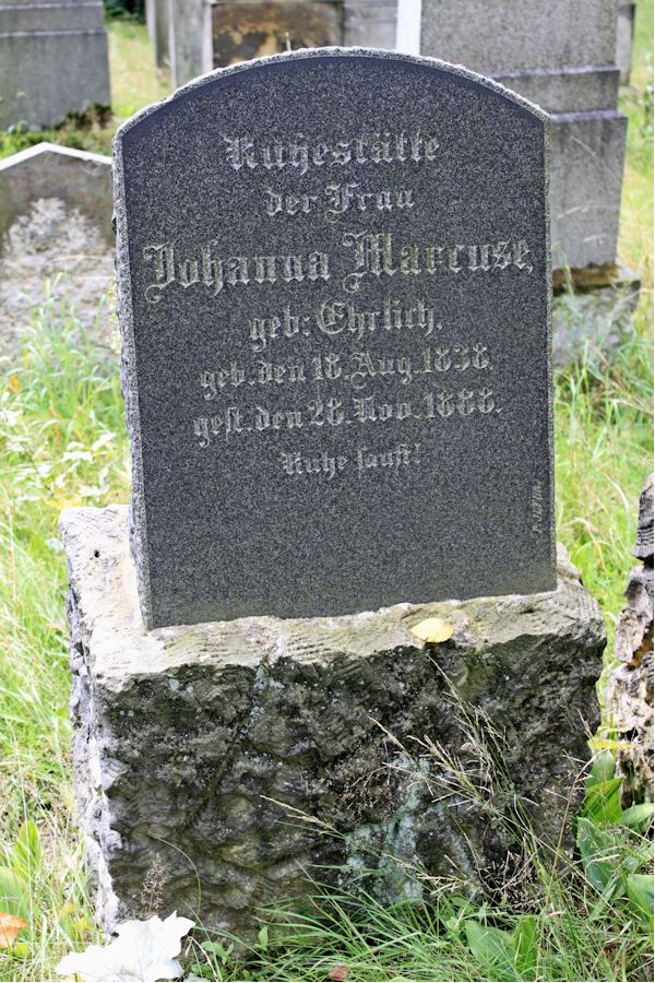 Grabstein Nummer 286 auf dem Friedhof Potsdam