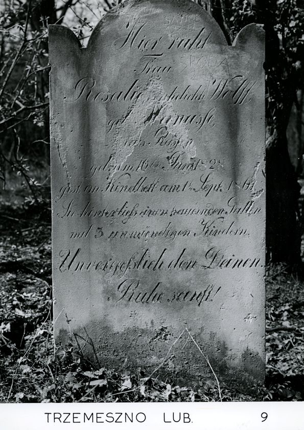 Grabstein Nummer 93 auf dem Friedhof Trzemeszno Lubuskie (Schermeisel)