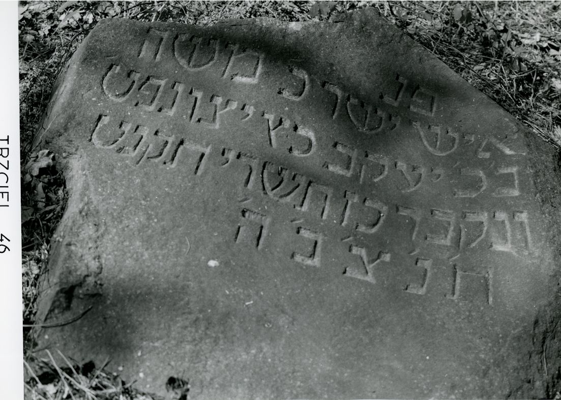 Grabstein Nummer 52 auf dem Friedhof Trzciel (Tirschtiegel)