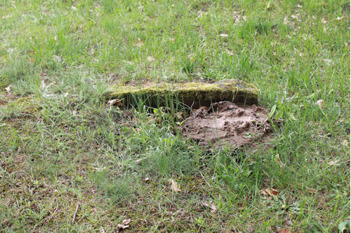 Grabstein Nummer 32 auf dem Friedhof Oderberg