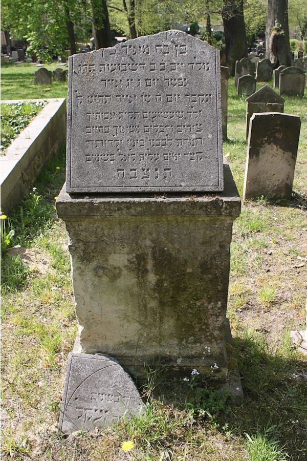 Grabstein Nummer 205 auf dem Friedhof Potsdam