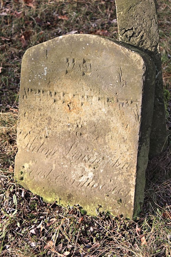 Grabstein Nummer 1692 auf dem Friedhof Potsdam