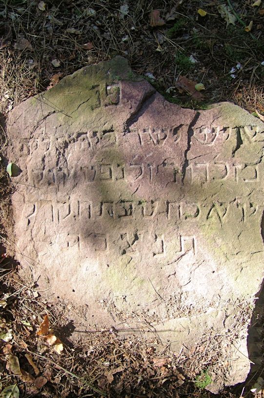 Grabstein Nummer 91 auf dem Friedhof Trzciel (Tirschtiegel)