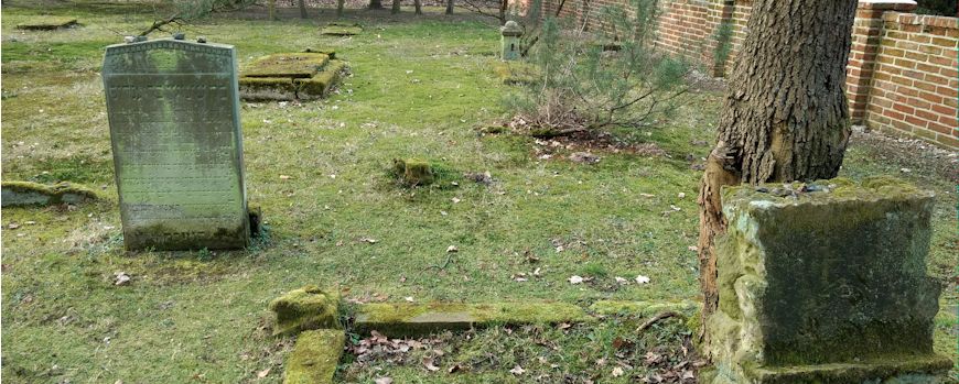 Moosteppich - der Friedhof im Einklang mit der Natur