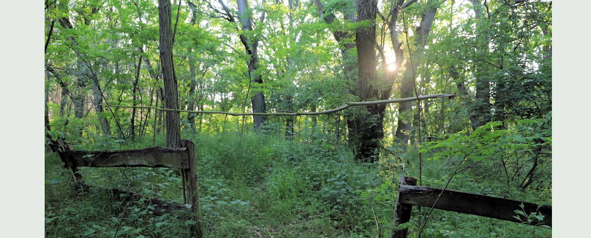 Symbolisches Tor und Einfriedung des Jüdischen Friedhofs in Lipiany