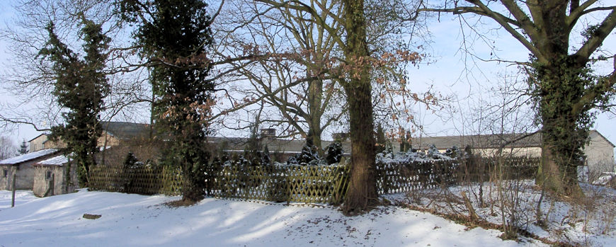 Fernblick auf den Jüdischen Friedhof in Friesack im Jahr 2006