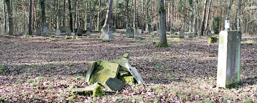Blick über den jüdischen Friedhof von Bledzew in nordwestliche Richtung