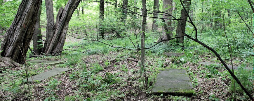 Liegende Grabsteine des Jüdischen Friedhofs in Torzym