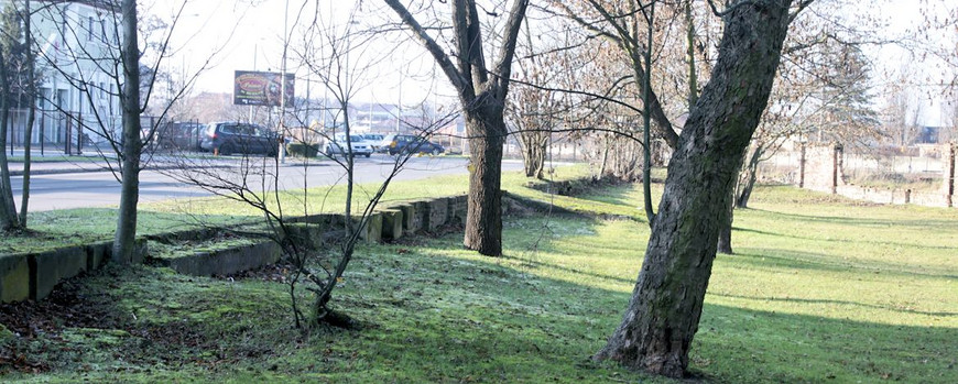 Reste der Begrenzung des jüdischen Friedhofs in Kostrzyn nad Odrą