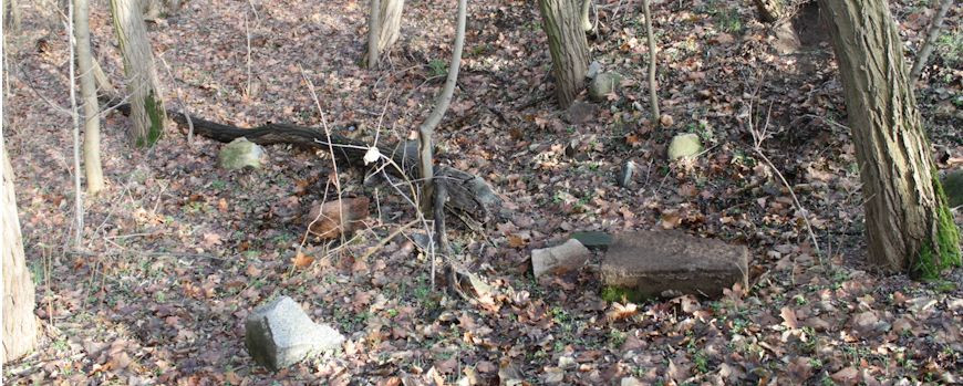 Gegenwärtiger Zustand auf dem jüdischen Friedhof in Rzepin