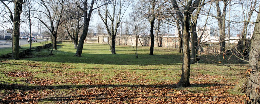 Der jüdische Friedhof in Kostrzyn nad Odrą als Parkanlage