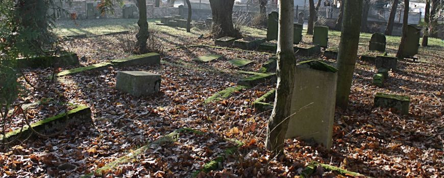 Blick über das restaurierte Gräberfeld des Jüdischen Friedhofs in Witnica