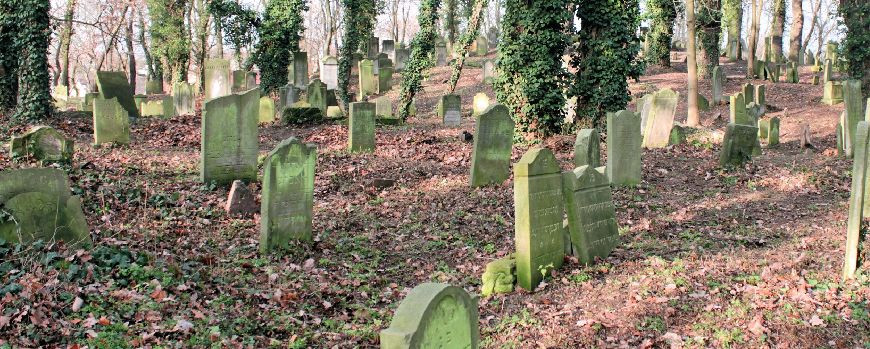 Blick über den Jüdischen Friedhof in Skwierzyna