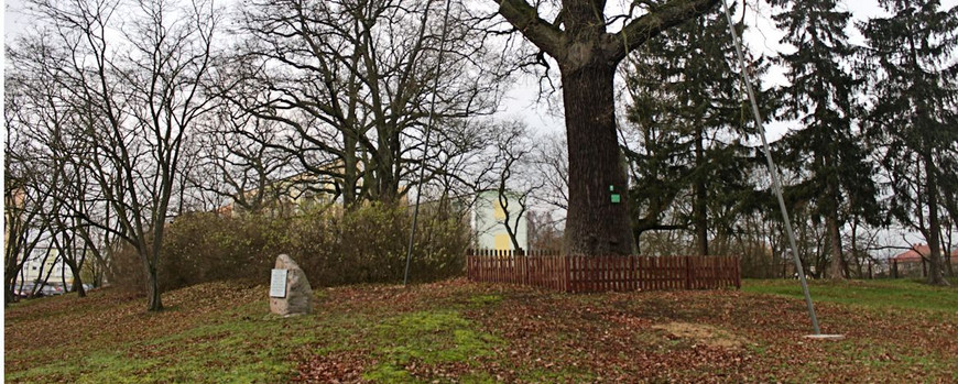 Der jüdische Friedhof von Drezdenko als Teil eines heutigen Wohngebietes