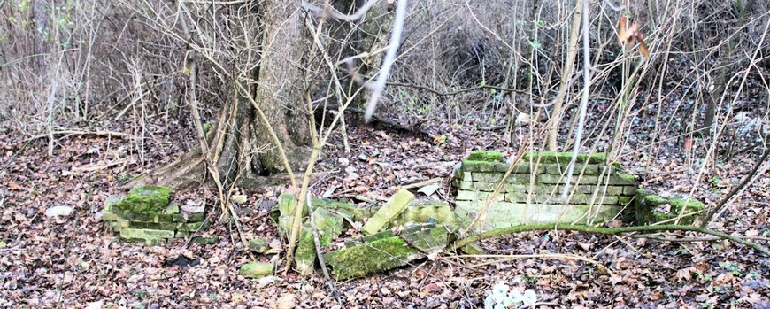 Bruchstücke eines Gebäudes am Jüdischen Friedhof in Torzym