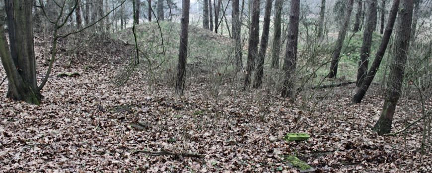 Überreste des Jüdischen Friedhofs in Kargowa