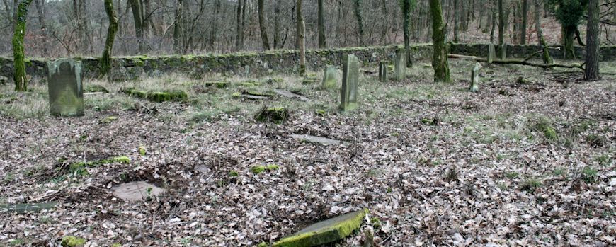 Zustand des Jüdischen Friedhofs in Trzemeszno Lubuskie im Frühjahr 2020.