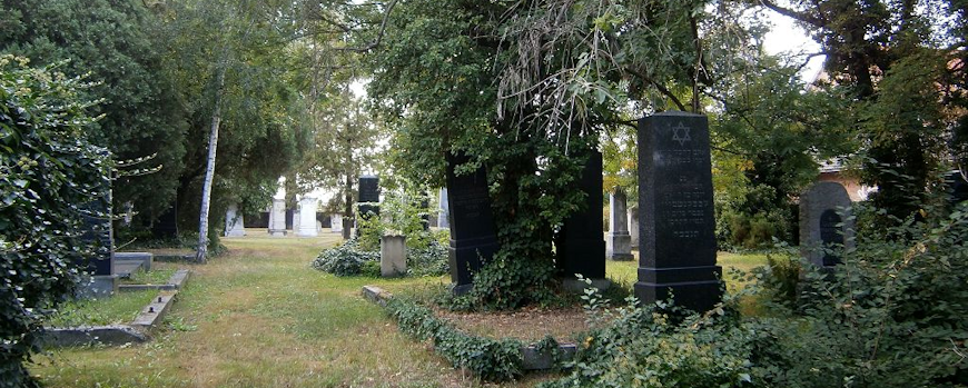 Blick in den Hauptweg der Anlage des Jüdischen Friedhofs in Schwedt/Oder