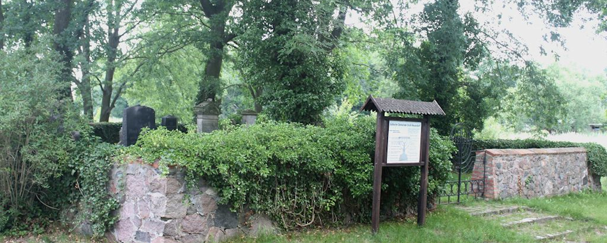 Blick auf das Wäldchen mit dem Jüdischen Friedhof in Groß Neuendorf