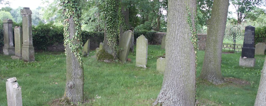 Blick über den Jüdischen Friedhof in Groß Neuendorf